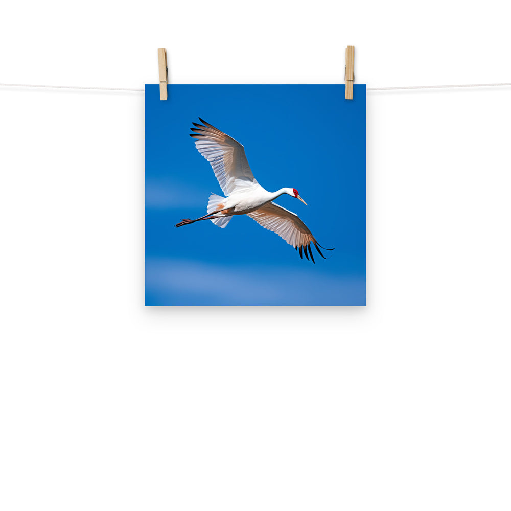 Crane Photo paper poster - PosterfyAI.com