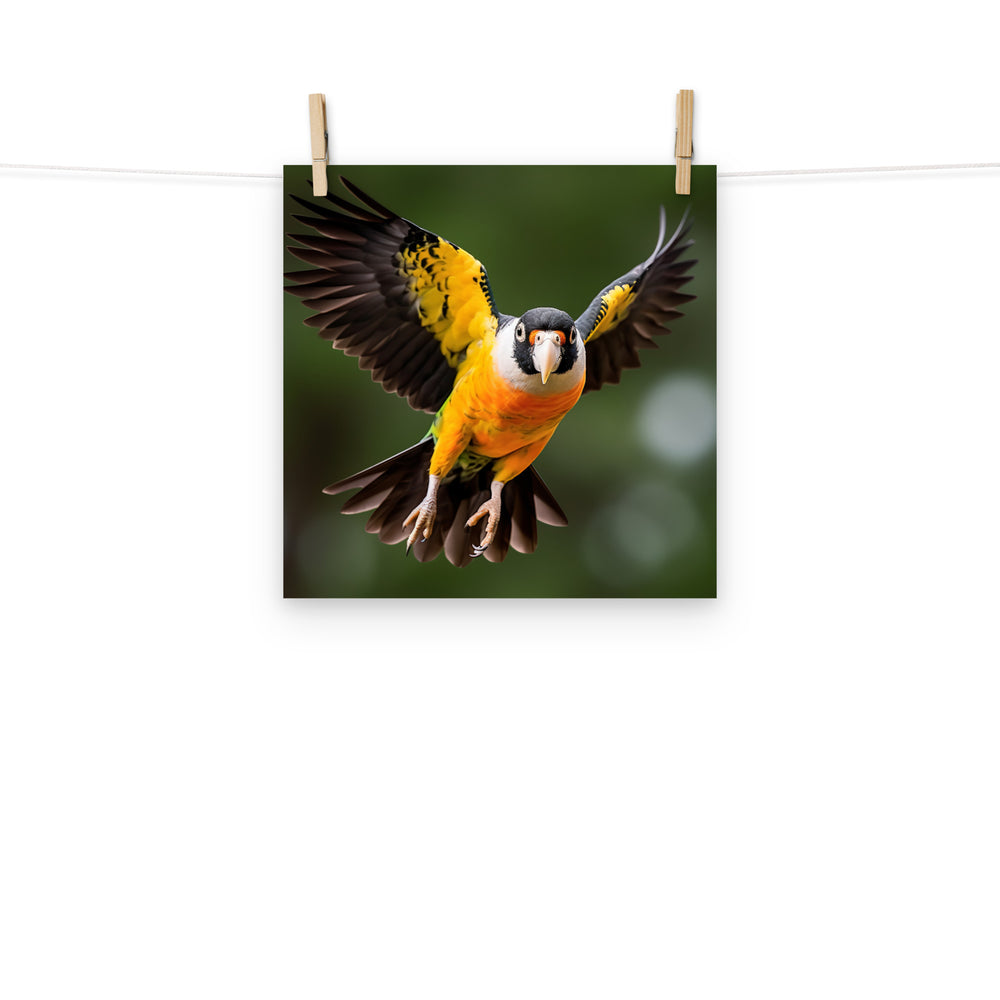 Caique Photo paper poster - PosterfyAI.com