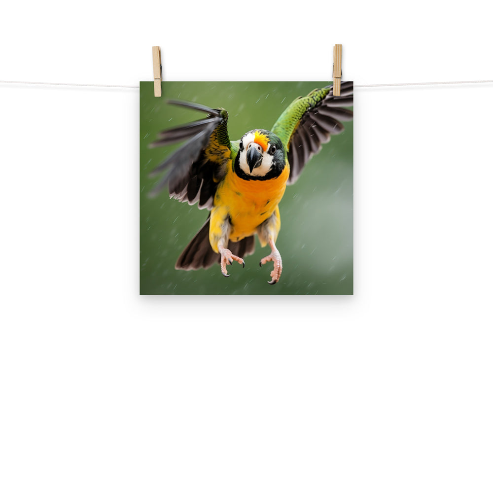 Caique Photo paper poster - PosterfyAI.com