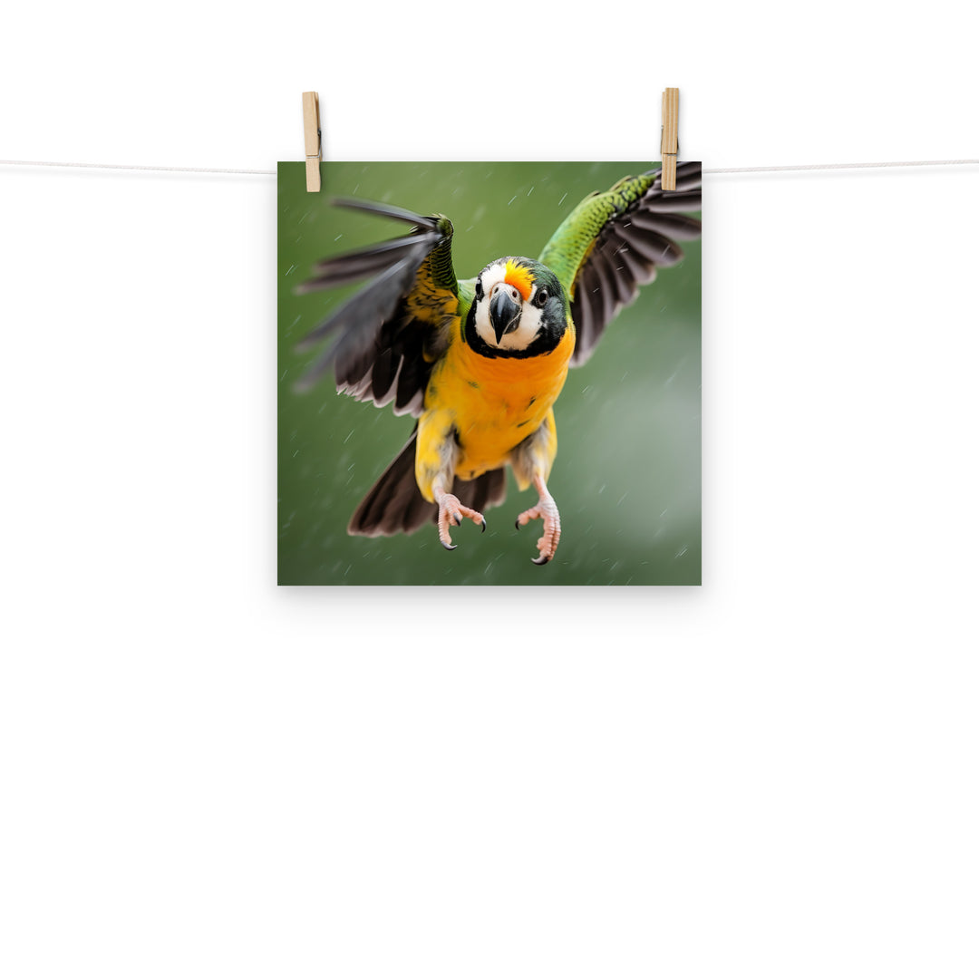 Caique Photo paper poster - PosterfyAI.com