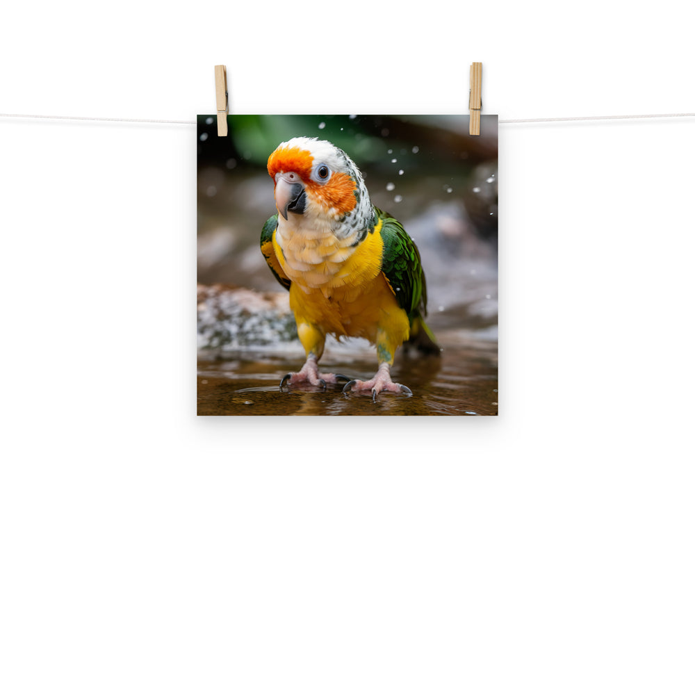 Caique Photo paper poster - PosterfyAI.com