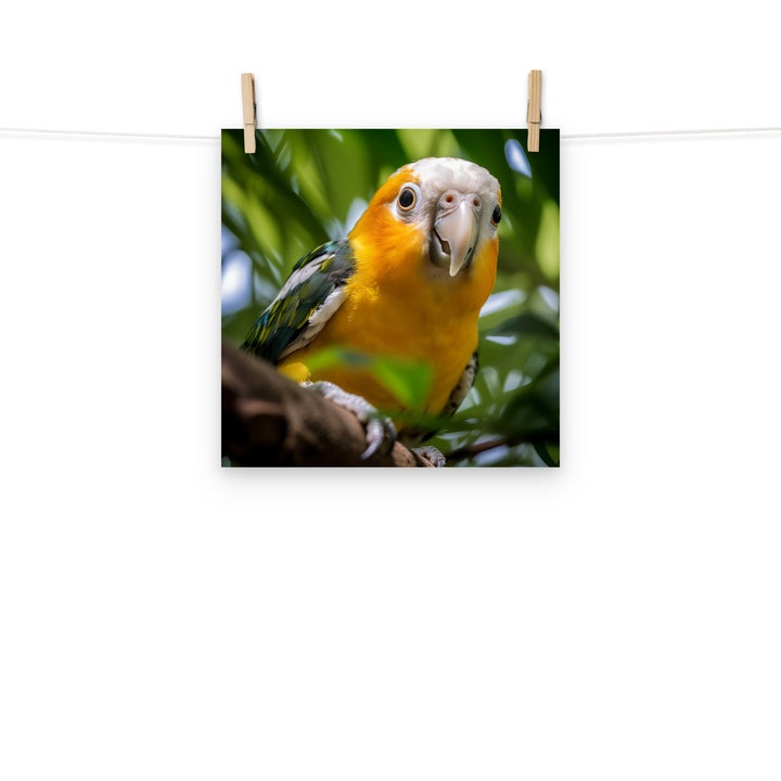 Caique Photo paper poster - PosterfyAI.com