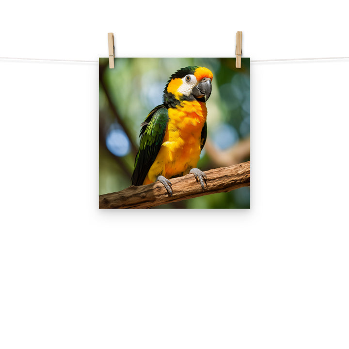 Caique Photo paper poster - PosterfyAI.com
