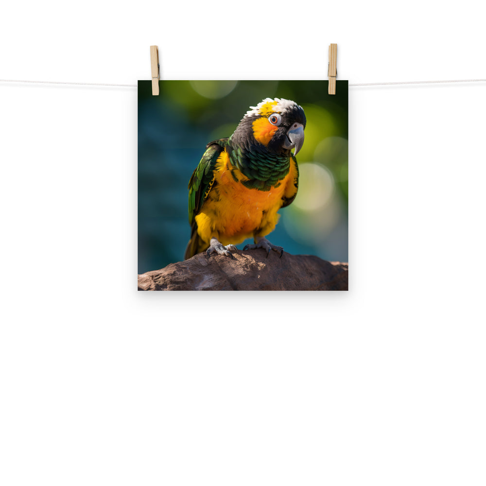 Caique Photo paper poster - PosterfyAI.com