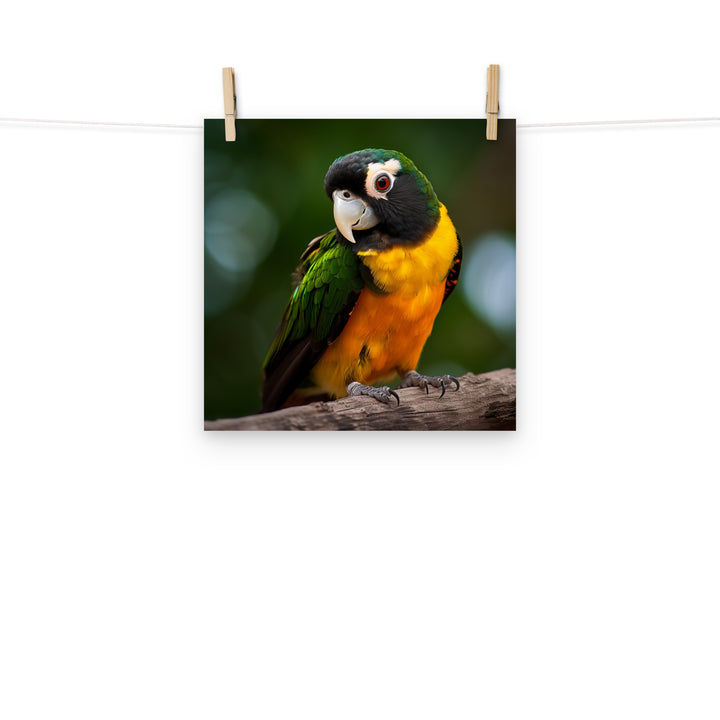 Caique Photo paper poster - PosterfyAI.com