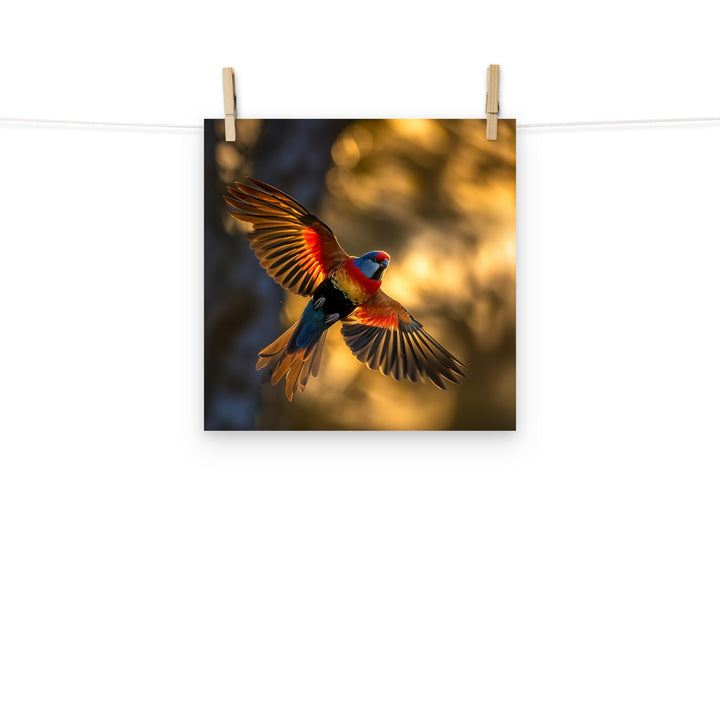Rosella Photo paper poster - PosterfyAI.com