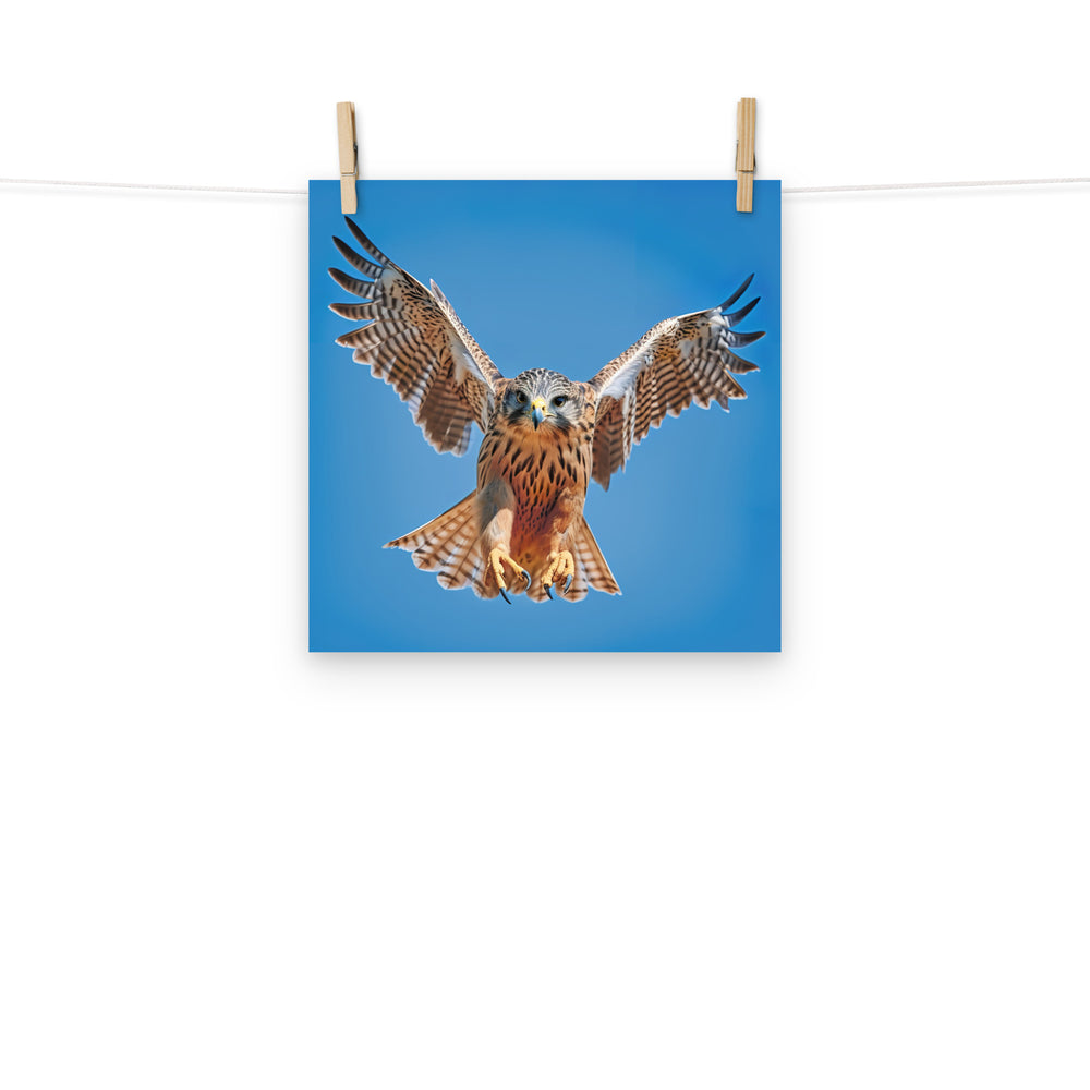 Falcon Photo paper poster - PosterfyAI.com