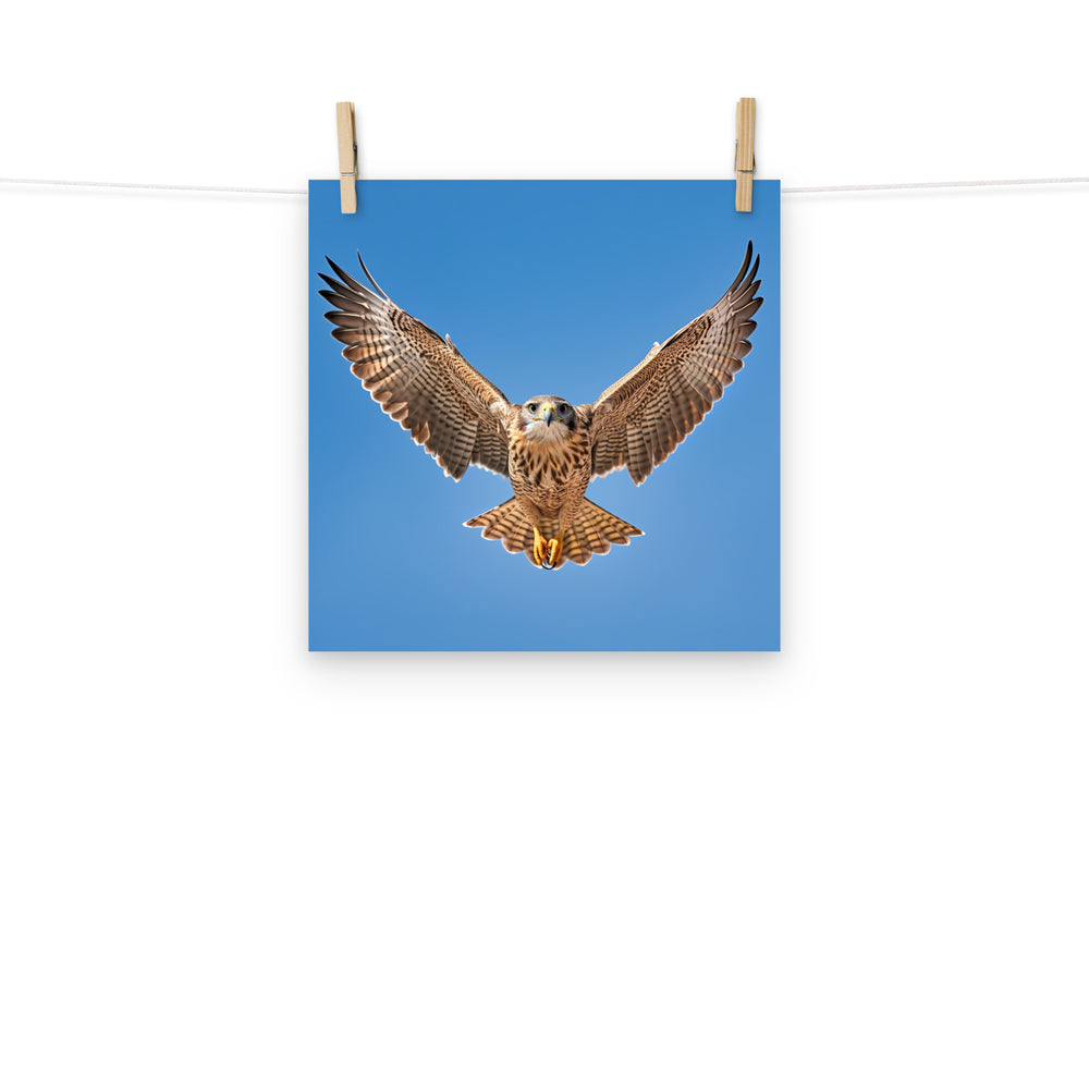 Falcon Photo paper poster - PosterfyAI.com