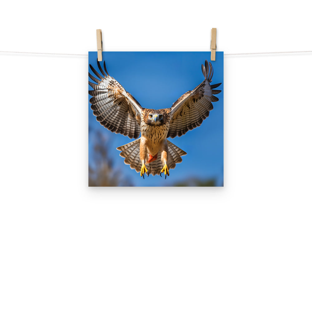 Hawk Photo paper poster - PosterfyAI.com