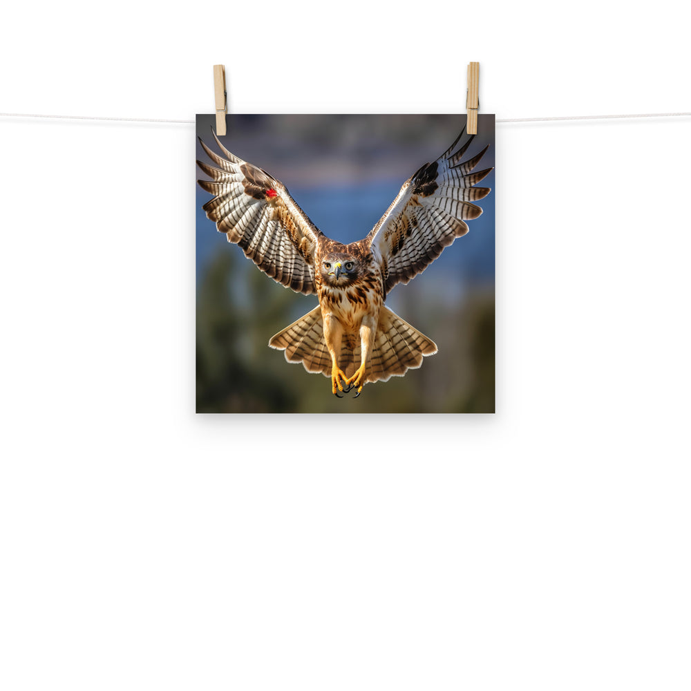Hawk Photo paper poster - PosterfyAI.com