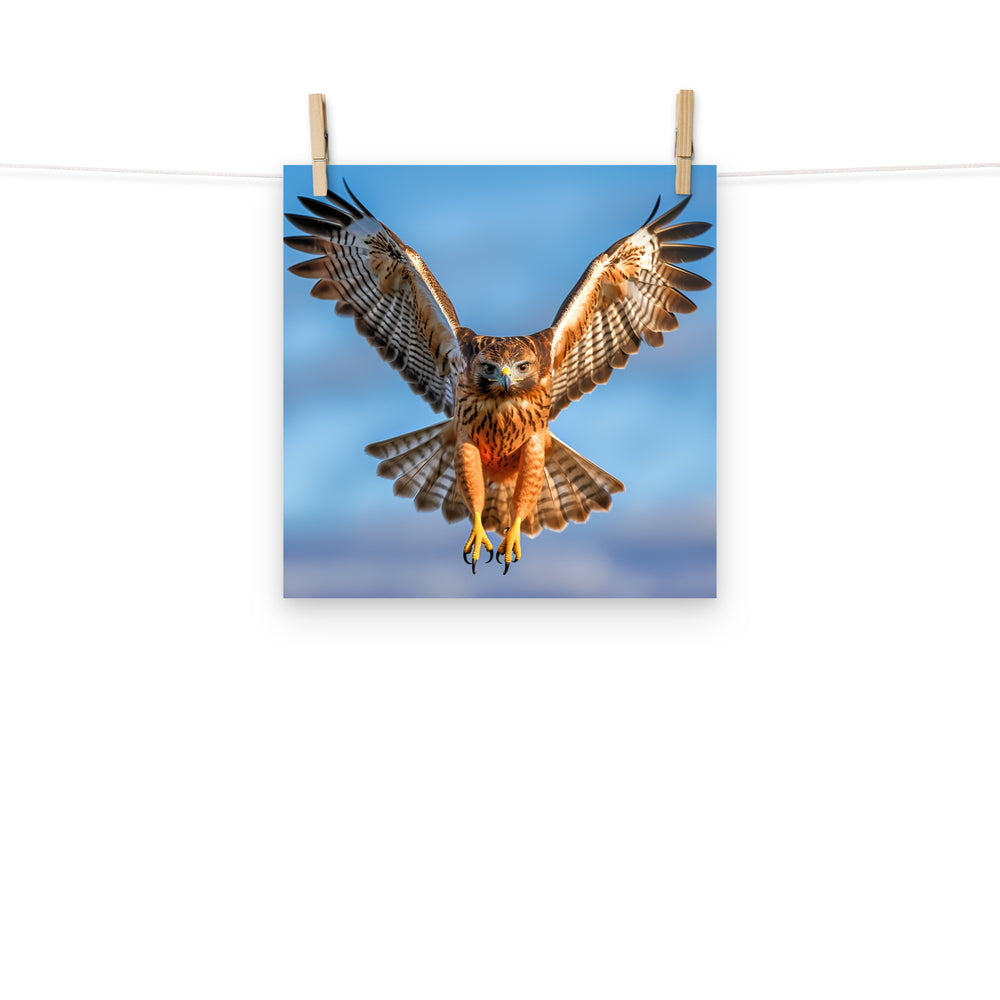 Hawk Photo paper poster - PosterfyAI.com