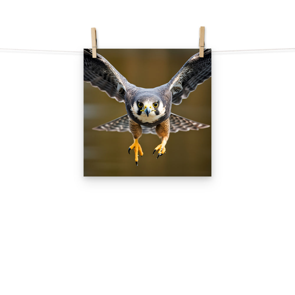Falcon Photo paper poster - PosterfyAI.com