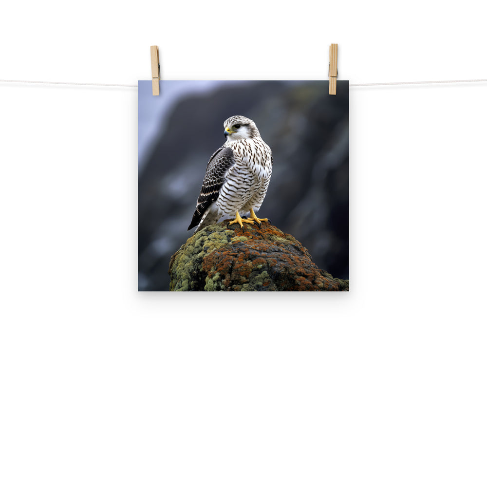 Gyrfalcon Photo paper poster - PosterfyAI.com