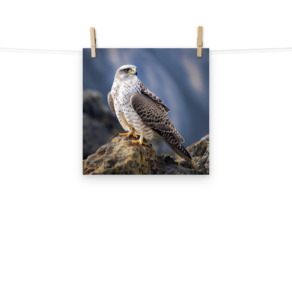 Gyrfalcon Photo paper poster - PosterfyAI.com