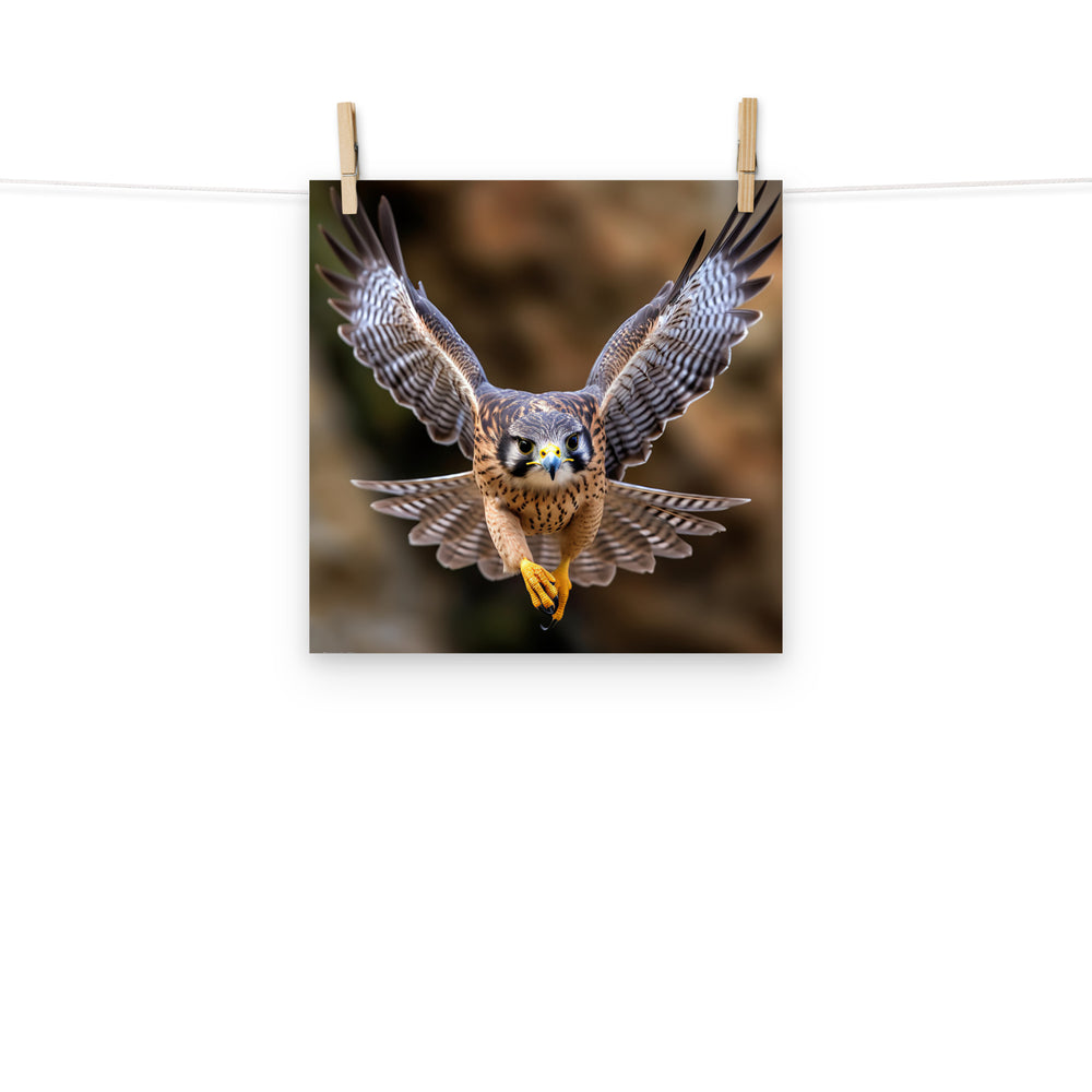 Falcon Photo paper poster - PosterfyAI.com