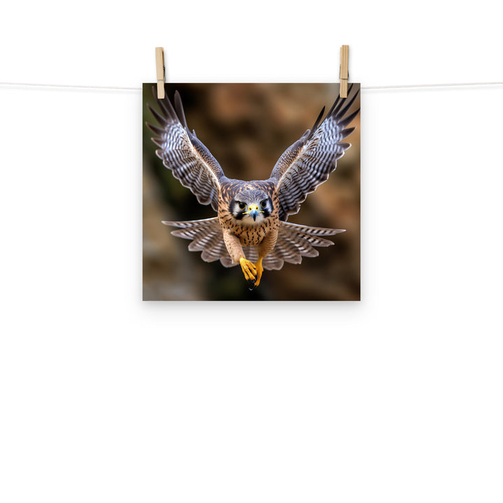 Falcon Photo paper poster - PosterfyAI.com