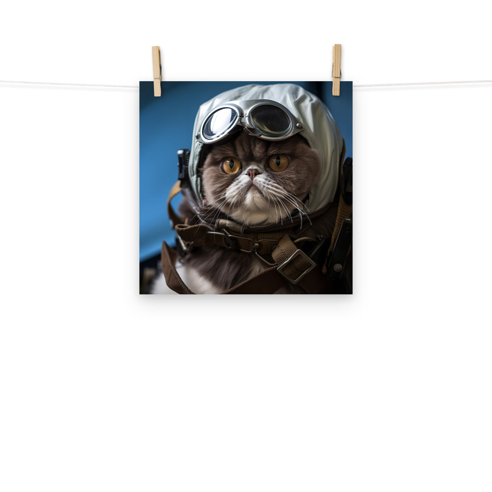 Exotic Shorthair Pilot Photo paper poster - PosterfyAI.com