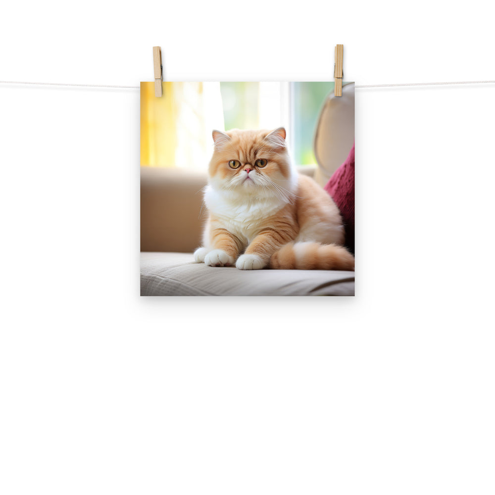Exotic Shorthair Photo paper poster - PosterfyAI.com