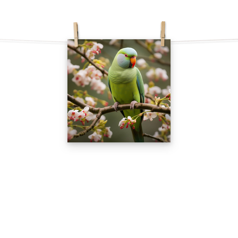 Parakeet Photo paper poster - PosterfyAI.com