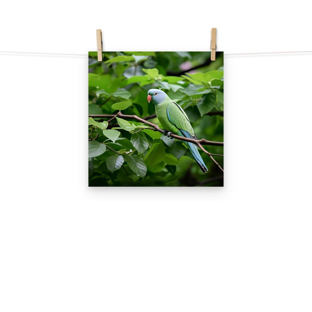 Parakeet Photo paper poster - PosterfyAI.com