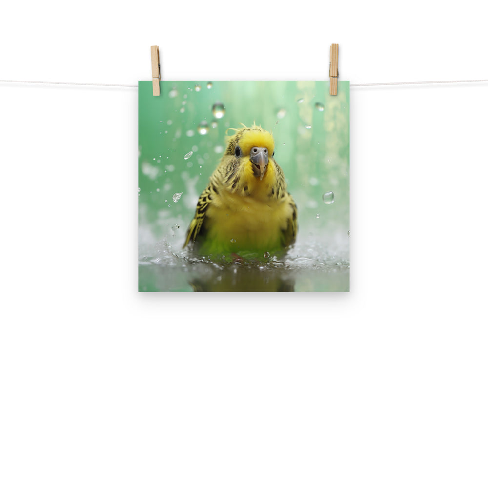 Budgerigar Photo paper poster - PosterfyAI.com