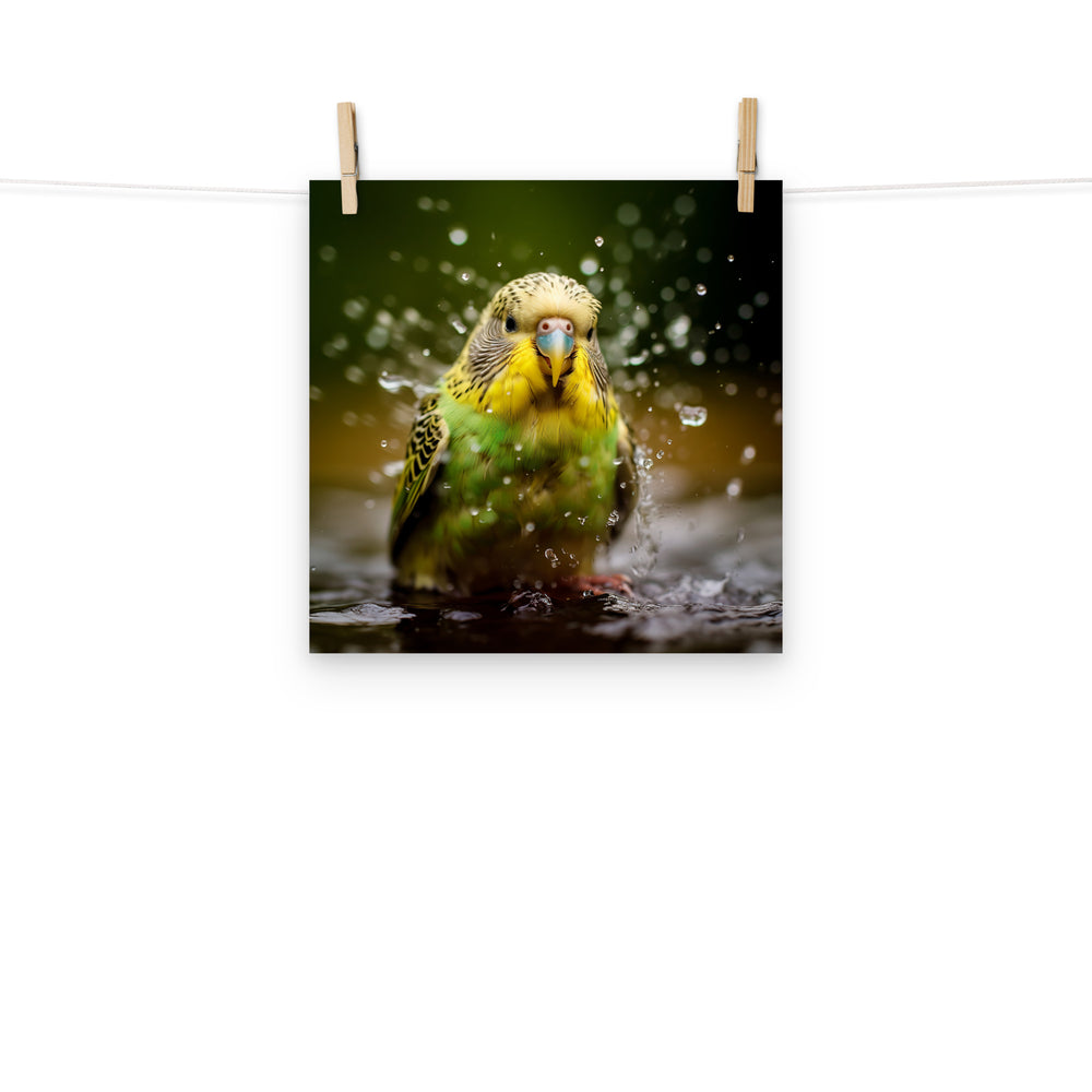 Budgerigar Photo paper poster - PosterfyAI.com