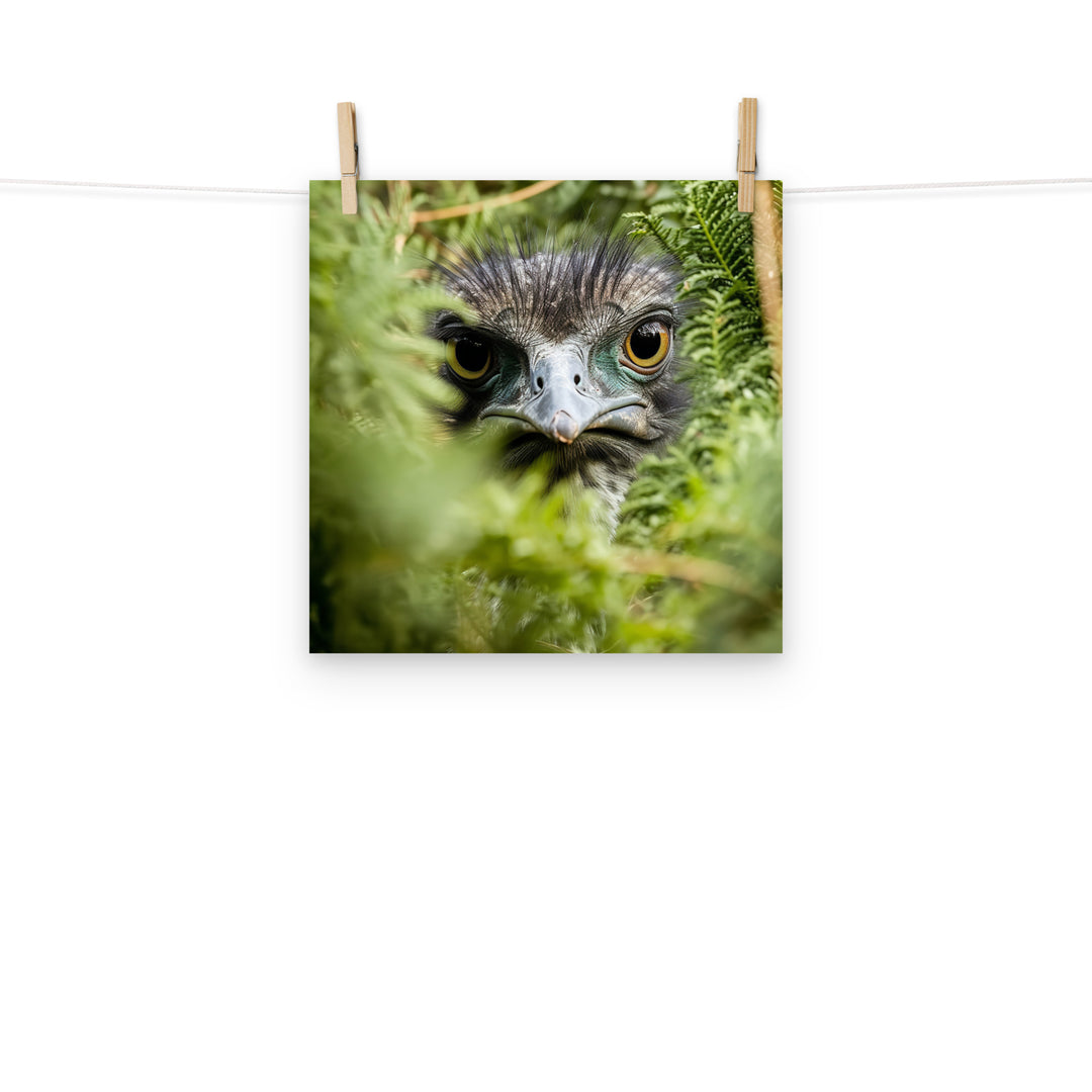 Emu Photo paper poster - PosterfyAI.com