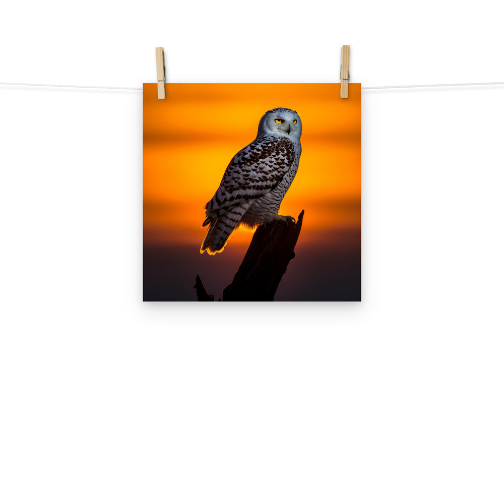 Owl Photo paper poster - PosterfyAI.com