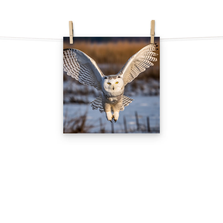 Owl Photo paper poster - PosterfyAI.com
