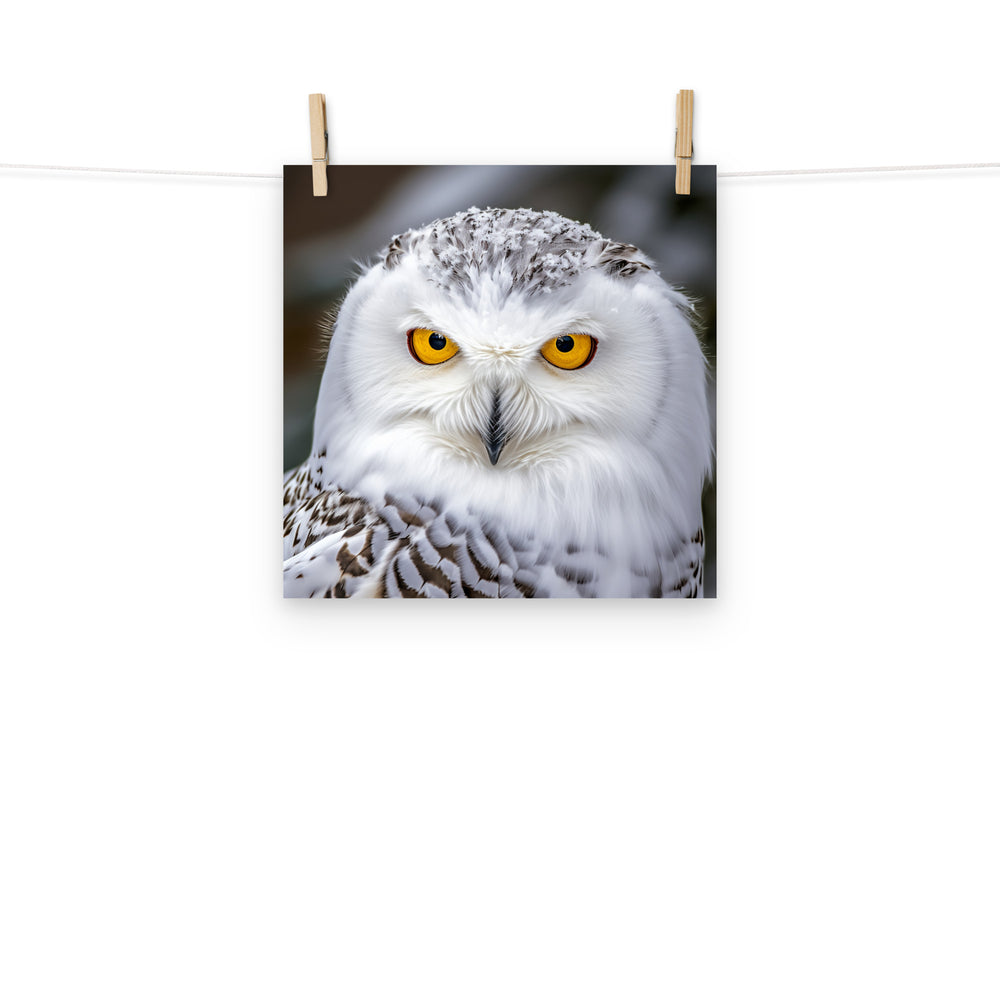 Owl Photo paper poster - PosterfyAI.com
