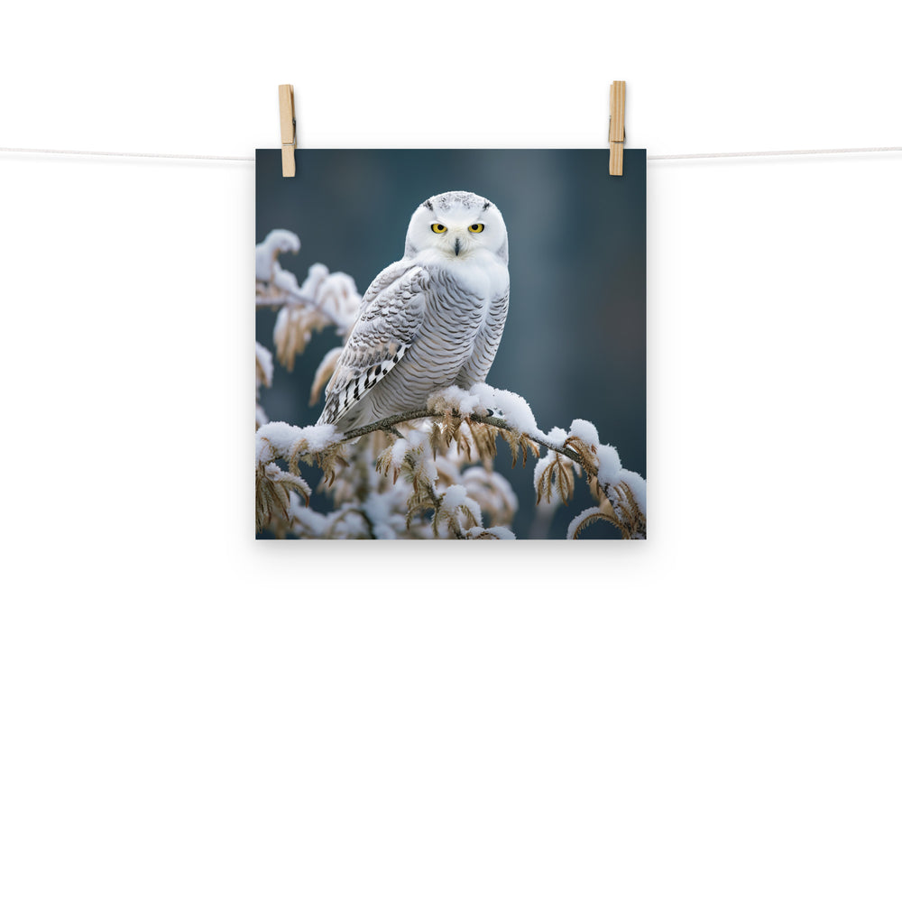 Owl Photo paper poster - PosterfyAI.com