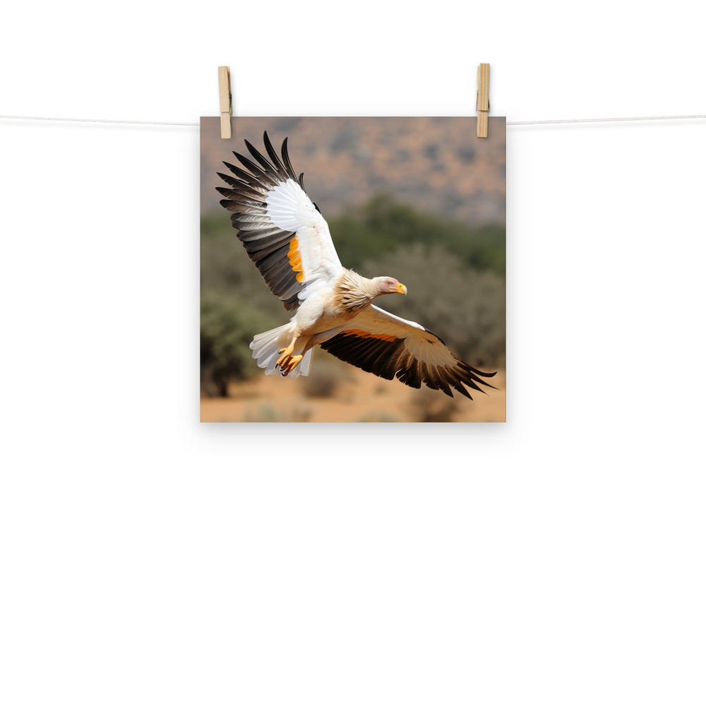 Vulture Photo paper poster - PosterfyAI.com