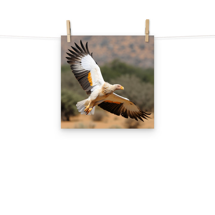 Vulture Photo paper poster - PosterfyAI.com