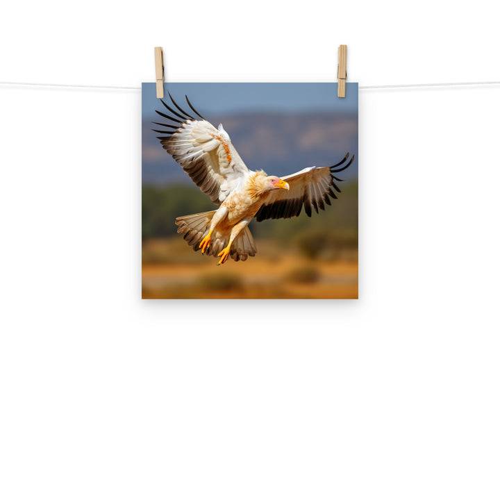 Vulture Photo paper poster - PosterfyAI.com