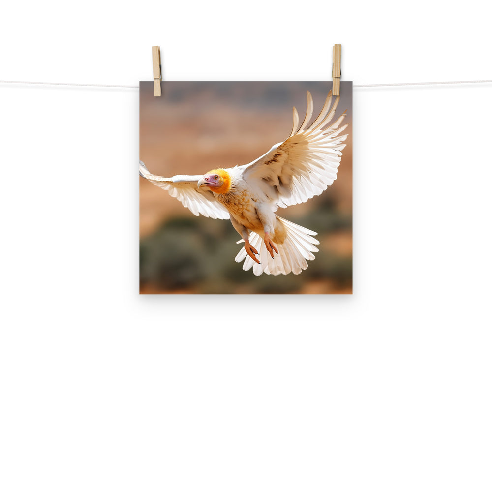 Vulture Photo paper poster - PosterfyAI.com