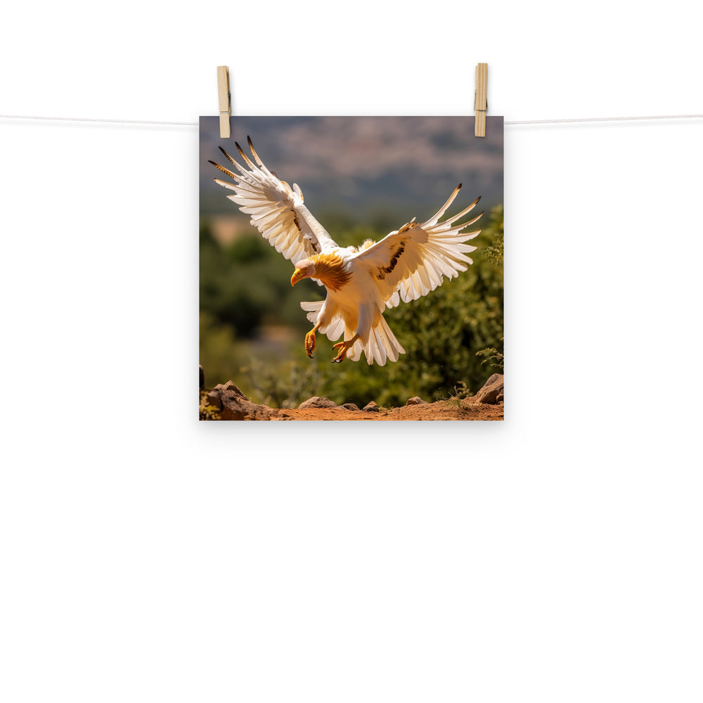 Vulture Photo paper poster - PosterfyAI.com