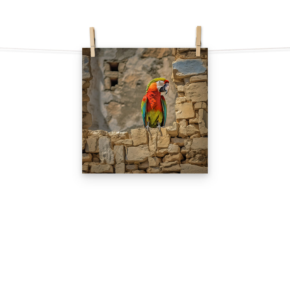 Macaw Photo paper poster - PosterfyAI.com