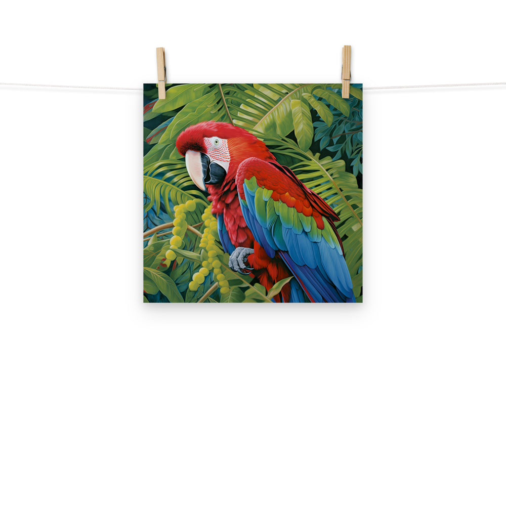 Macaw Photo paper poster - PosterfyAI.com