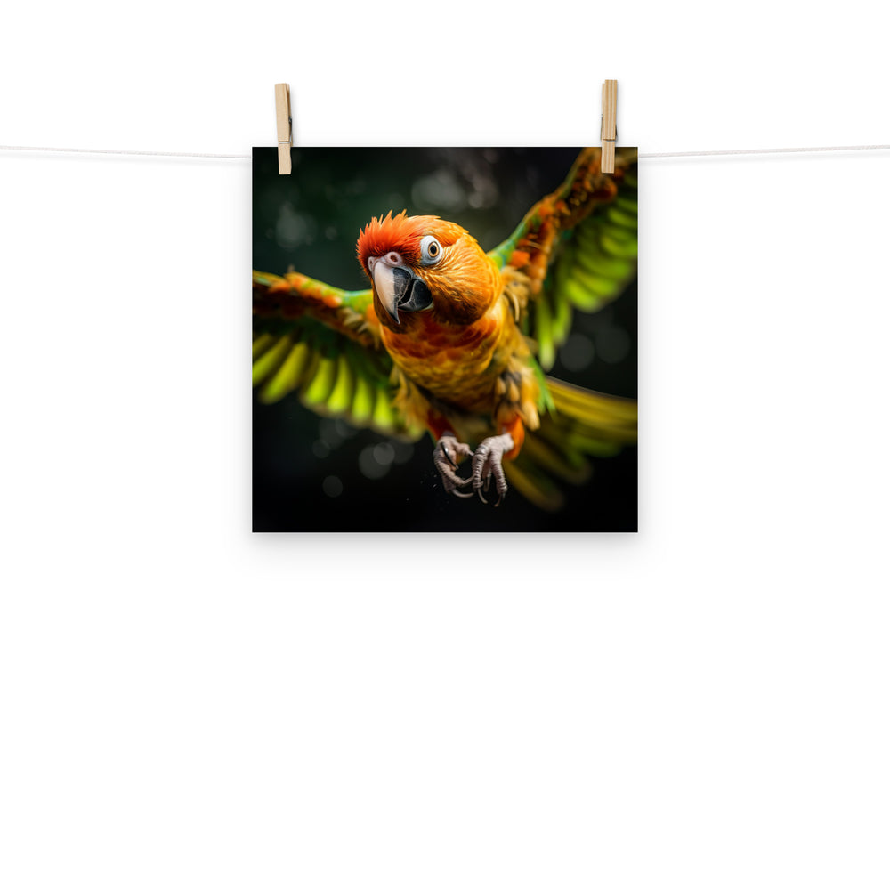 Conures Photo paper poster - PosterfyAI.com