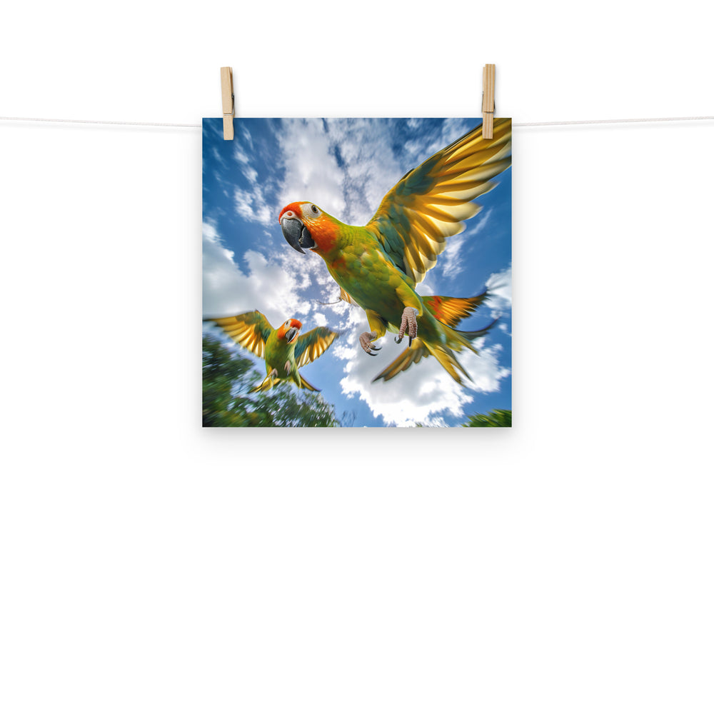 Conures Photo paper poster - PosterfyAI.com