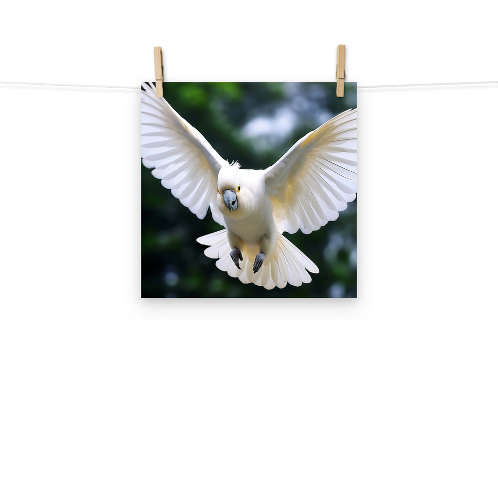 Cockatoo Photo paper poster - PosterfyAI.com