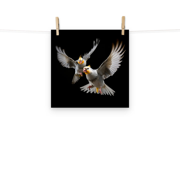 Cockatiels Photo paper poster - PosterfyAI.com