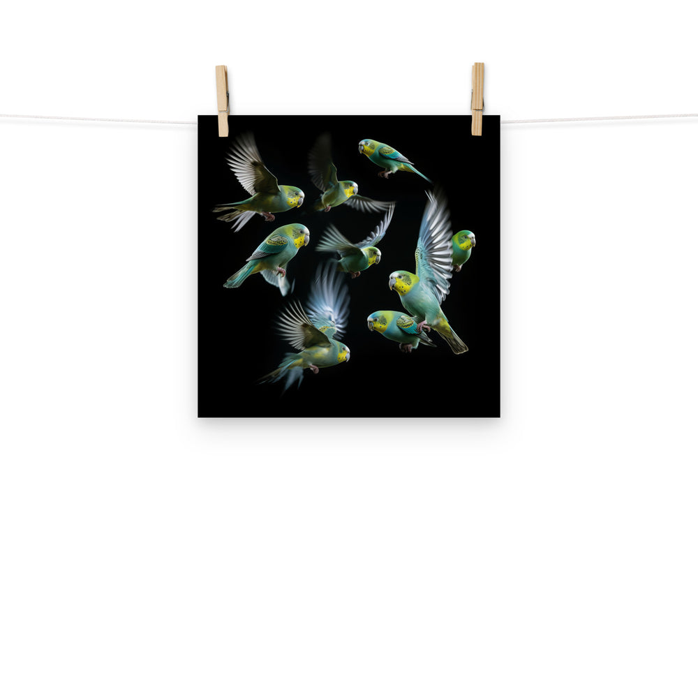 Budgerigar Photo paper poster - PosterfyAI.com