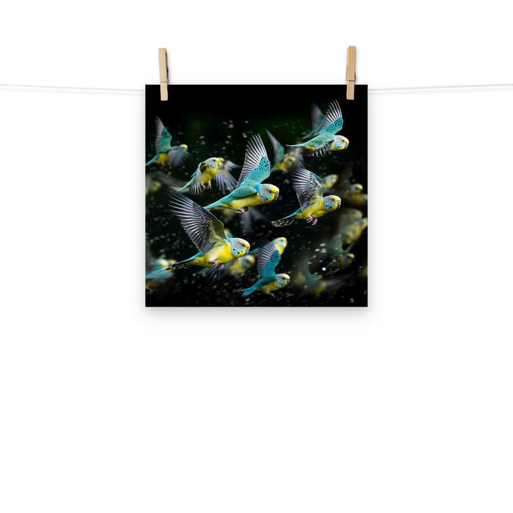 Budgerigar Photo paper poster - PosterfyAI.com