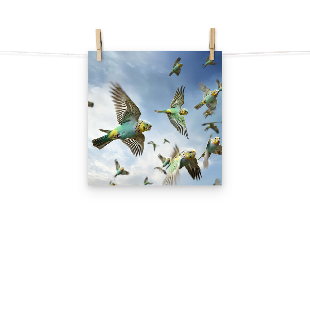 Budgerigar Photo paper poster - PosterfyAI.com