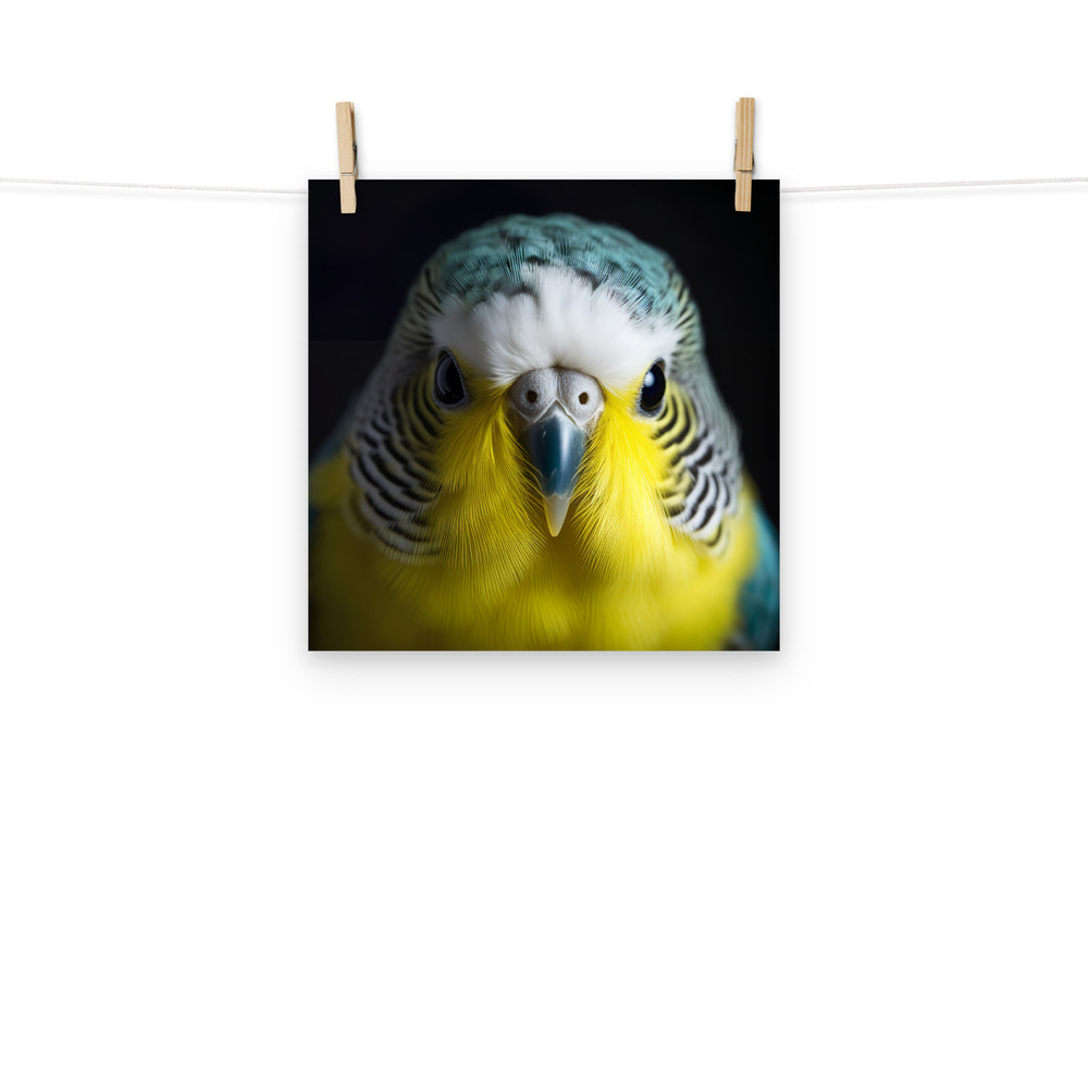 Budgerigar Photo paper poster - PosterfyAI.com