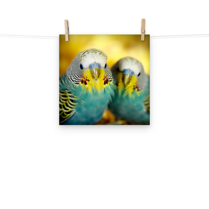 Budgerigar Photo paper poster - PosterfyAI.com