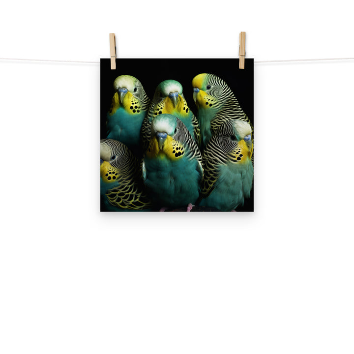 Budgerigar Photo paper poster - PosterfyAI.com