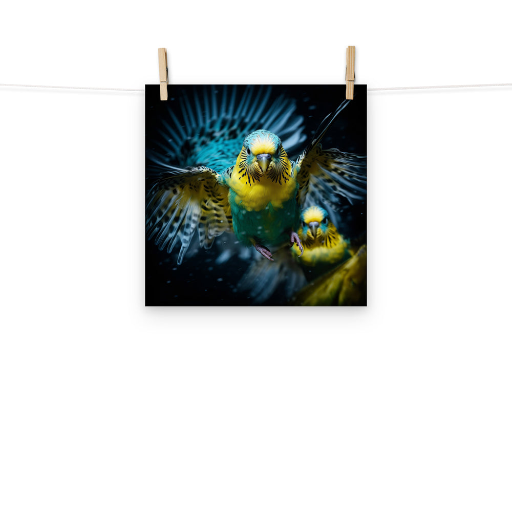 Budgerigar Photo paper poster - PosterfyAI.com