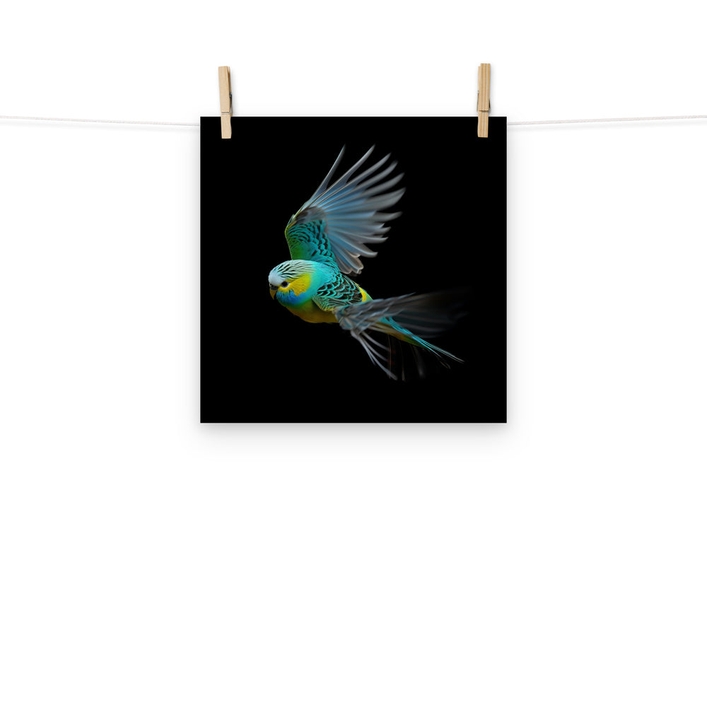 Budgerigar Photo paper poster - PosterfyAI.com